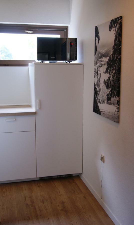 Ferienwohnung Schwarzwaldlust Шлухзе Екстер'єр фото