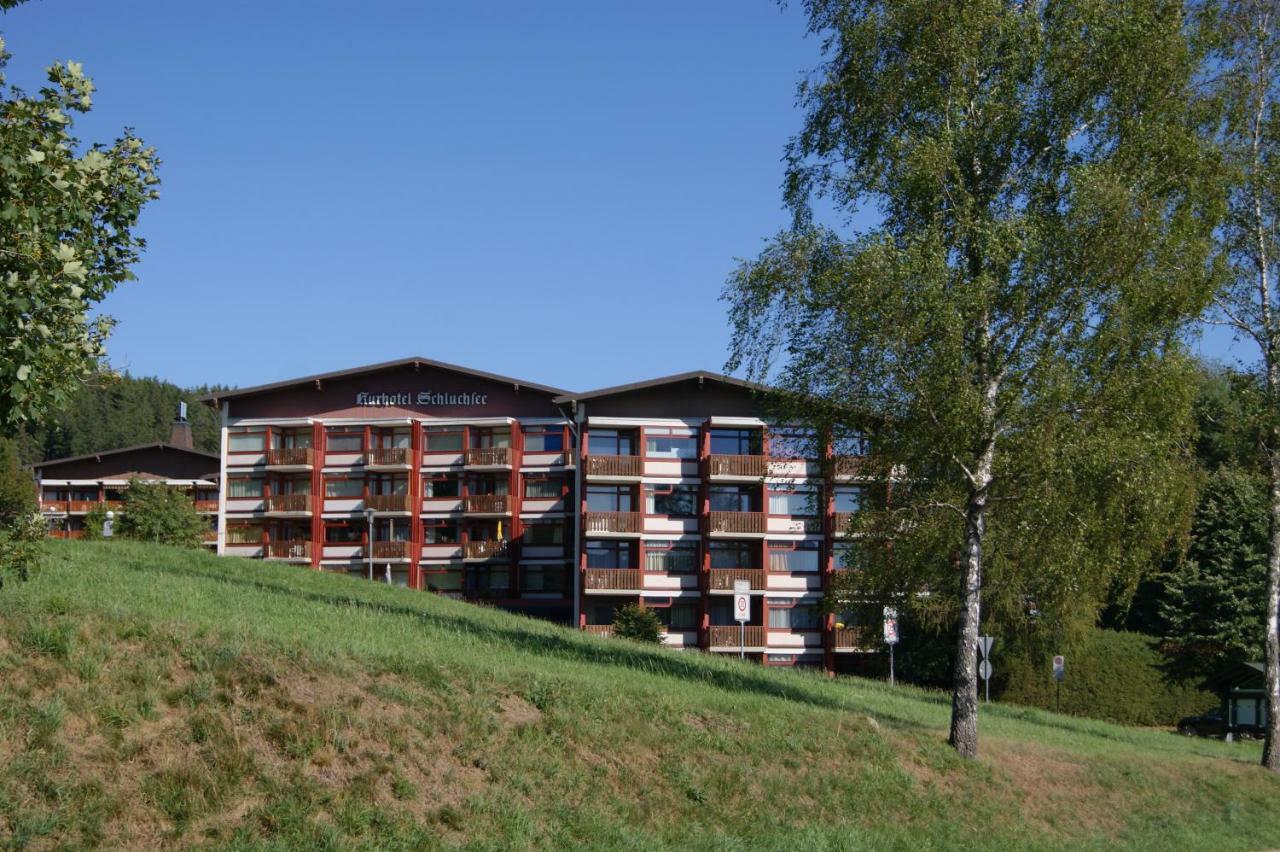 Ferienwohnung Schwarzwaldlust Шлухзе Екстер'єр фото